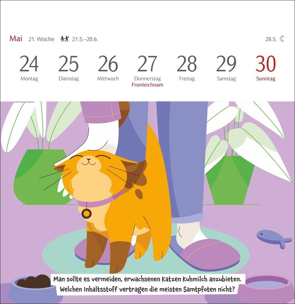 Beispielinhalt (Bild) Unnützes-Wissen-Quiz Katzen Premium-Postkartenkalender 2027 - Kalender mit 53 Rätselkarten