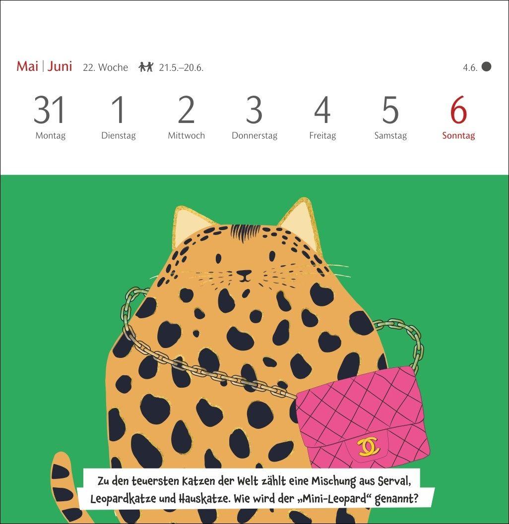 Beispielinhalt (Bild) Unnützes-Wissen-Quiz Katzen Premium-Postkartenkalender 2027 - Kalender mit 53 Rätselkarten