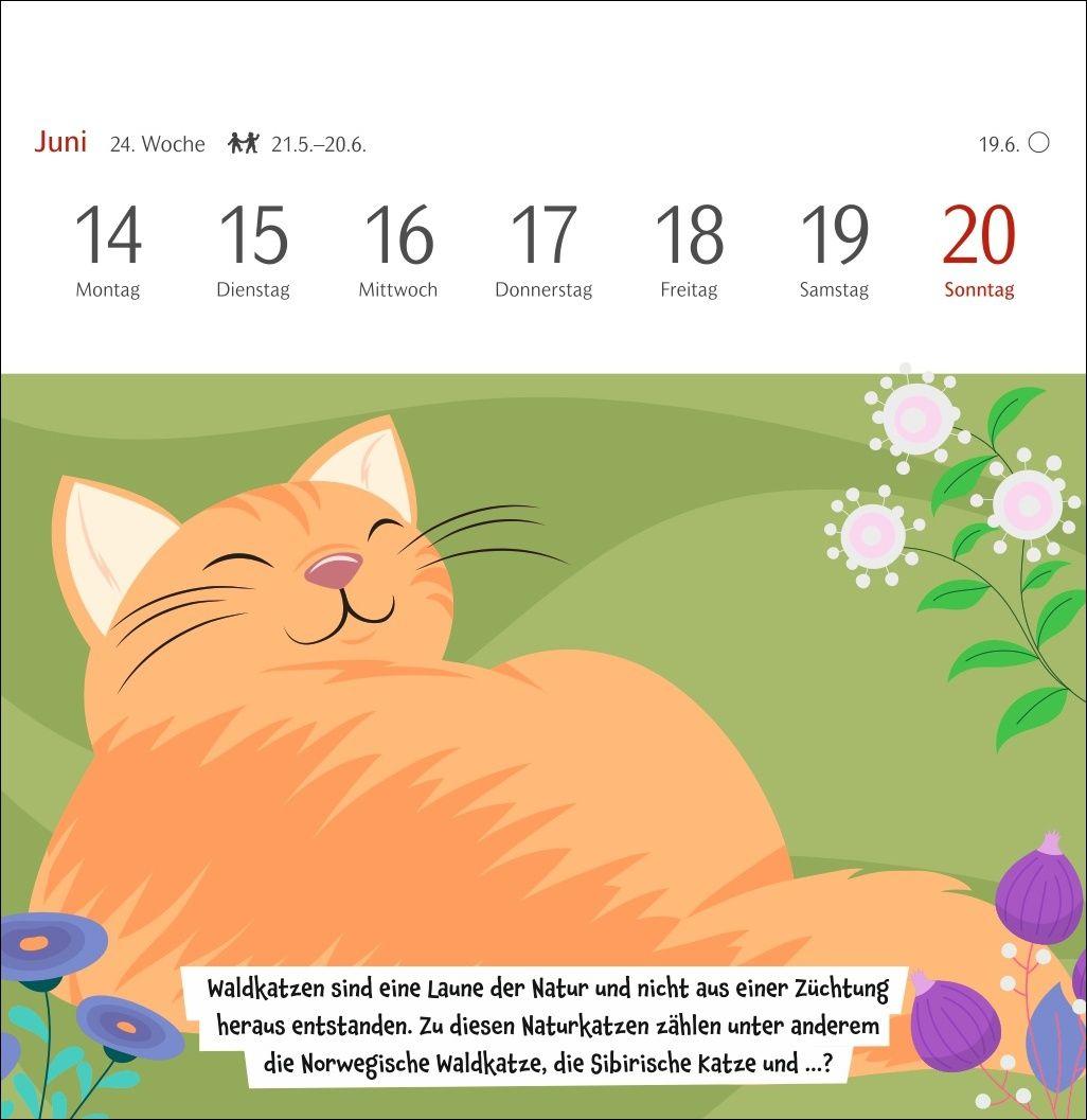 Beispielinhalt (Bild) Unnützes-Wissen-Quiz Katzen Premium-Postkartenkalender 2027 - Kalender mit 53 Rätselkarten