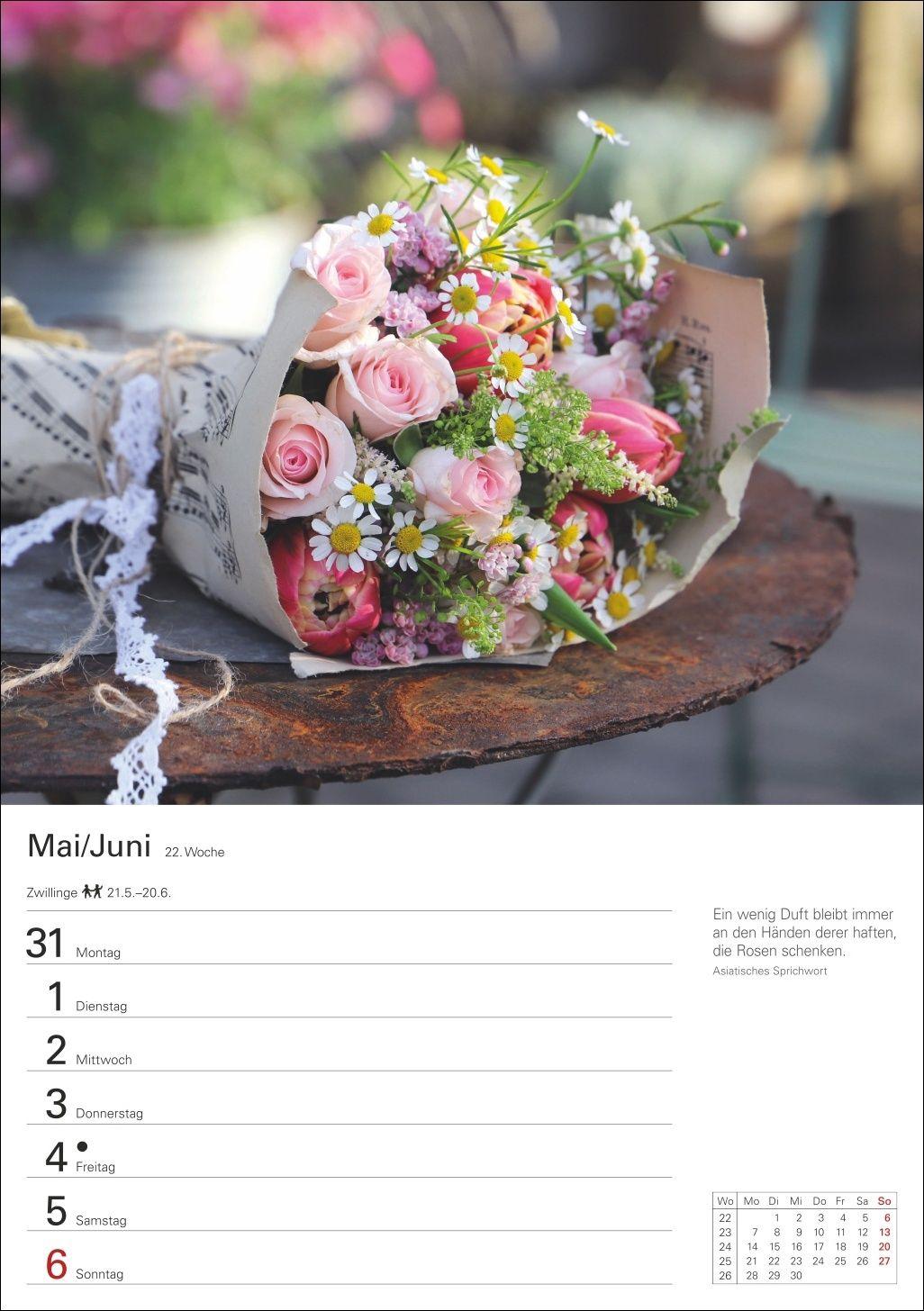 Beispielinhalt (Bild) Blumenpracht Wochenplaner 2027 - 53 stimmungsvolle Fotografien