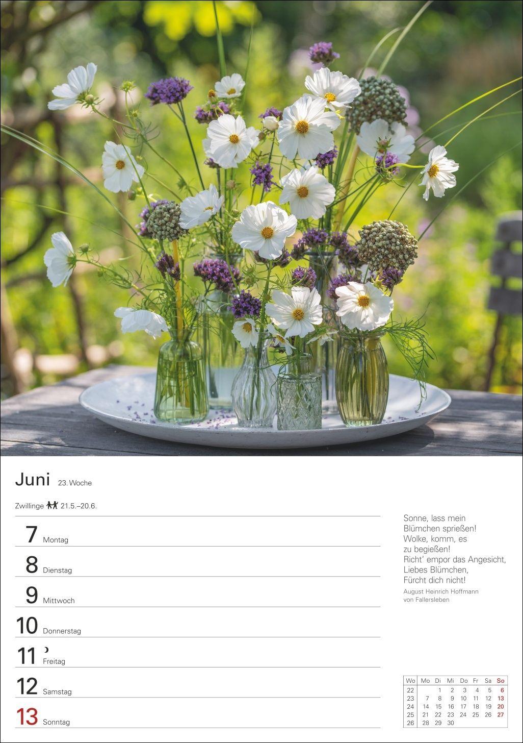 Beispielinhalt (Bild) Blumenpracht Wochenplaner 2027 - 53 stimmungsvolle Fotografien