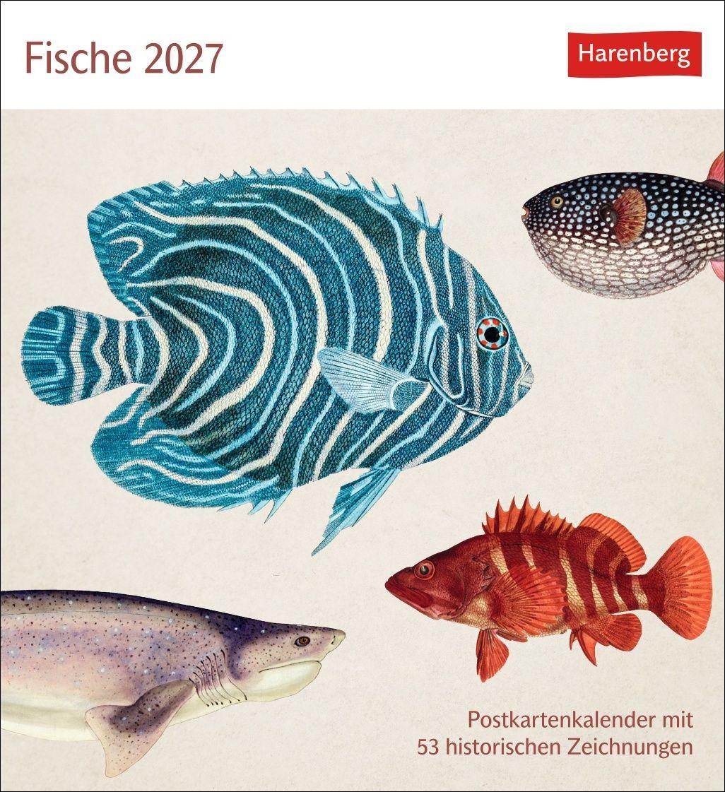 Vorderes Coverbild Fische Postkartenkalender 2027 - Postkartenkalender mit 53 historischen Zeichnungen