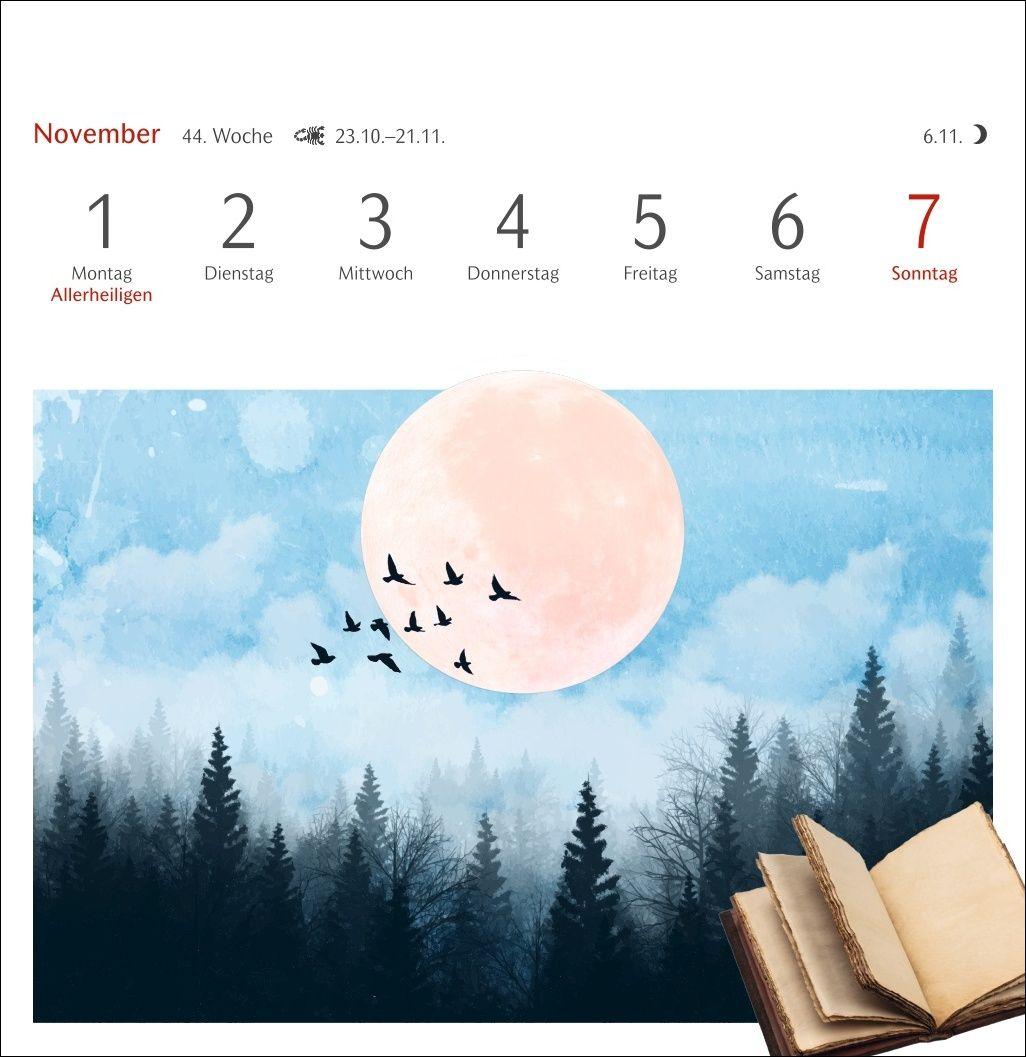 Beispielinhalt (Bild) Welches Buch bin ich? Premium-Postkartenkalender 2027 - Literarischer Rätselkalender