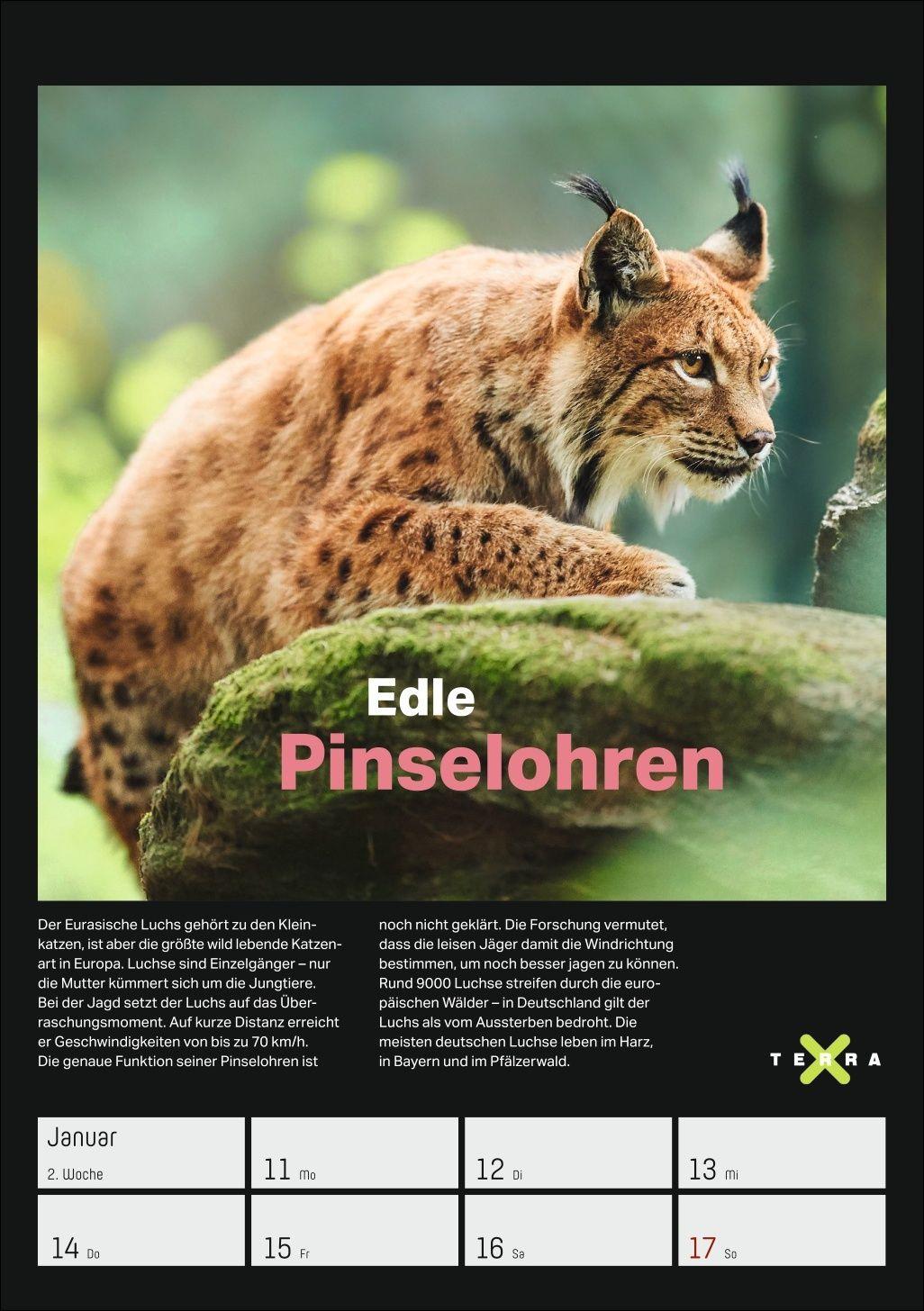 Beispielinhalt (Bild) Terra X - Das Wunder Erde Wochenplaner 2027