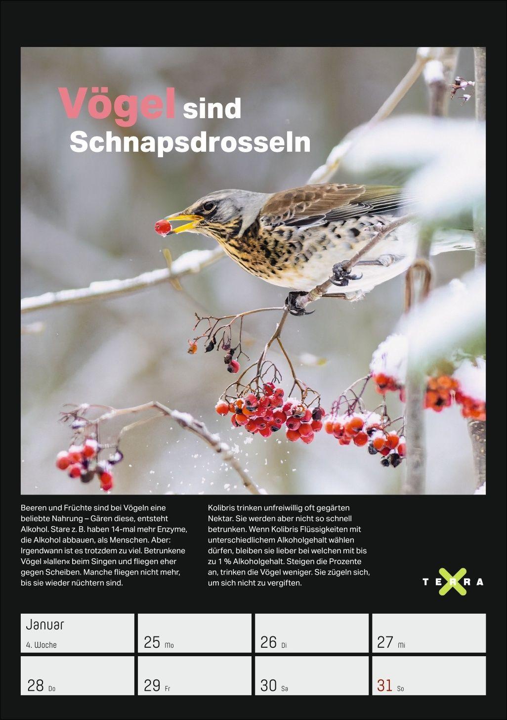 Beispielinhalt (Bild) Terra X - Das Wunder Erde Wochenplaner 2027