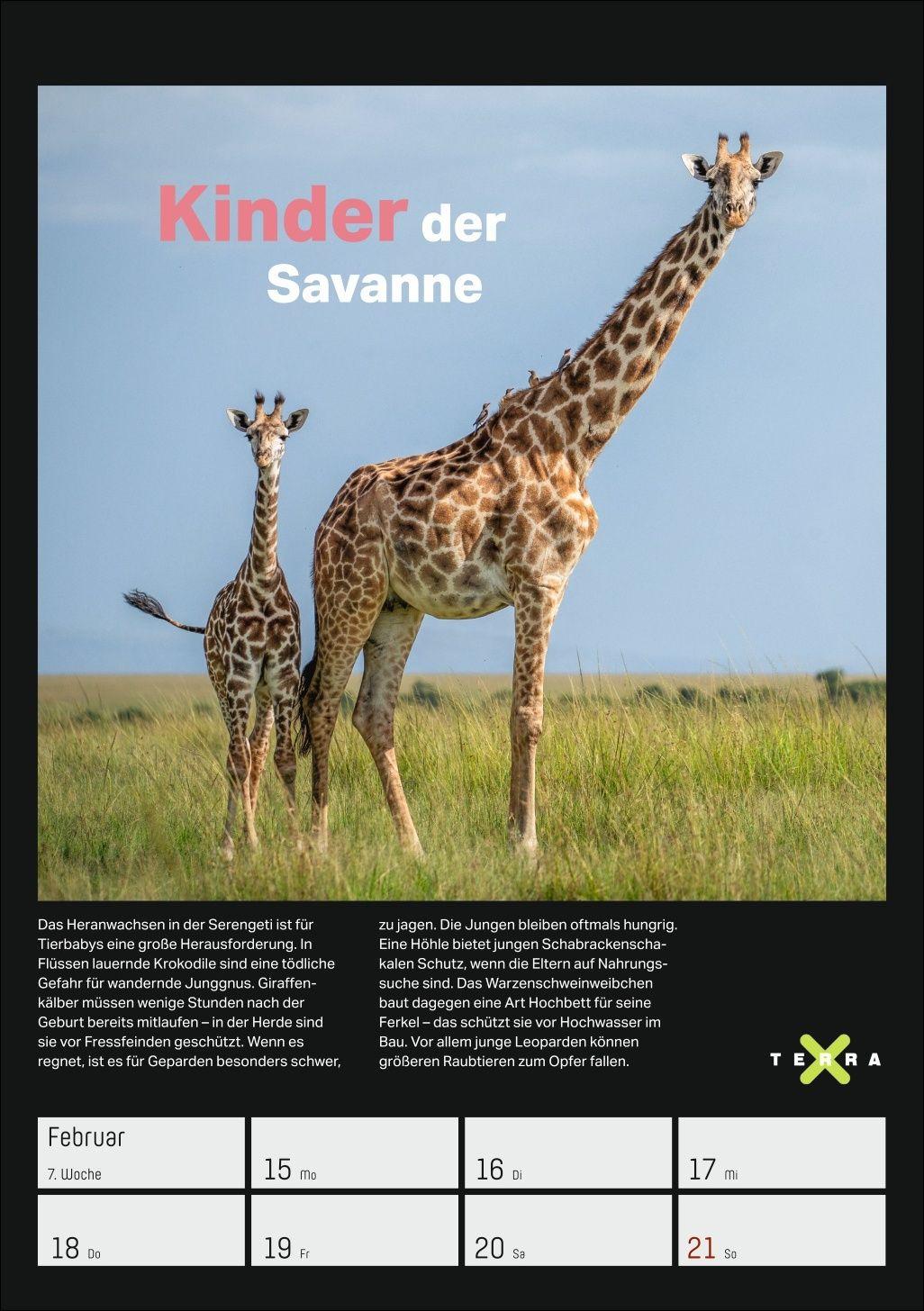 Beispielinhalt (Bild) Terra X - Das Wunder Erde Wochenplaner 2027