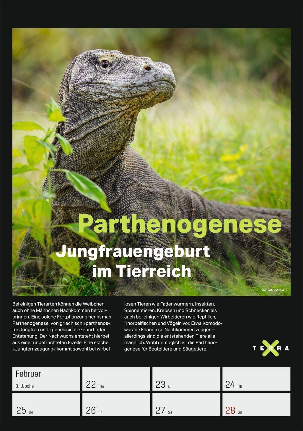 Beispielinhalt (Bild) Terra X - Das Wunder Erde Wochenplaner 2027