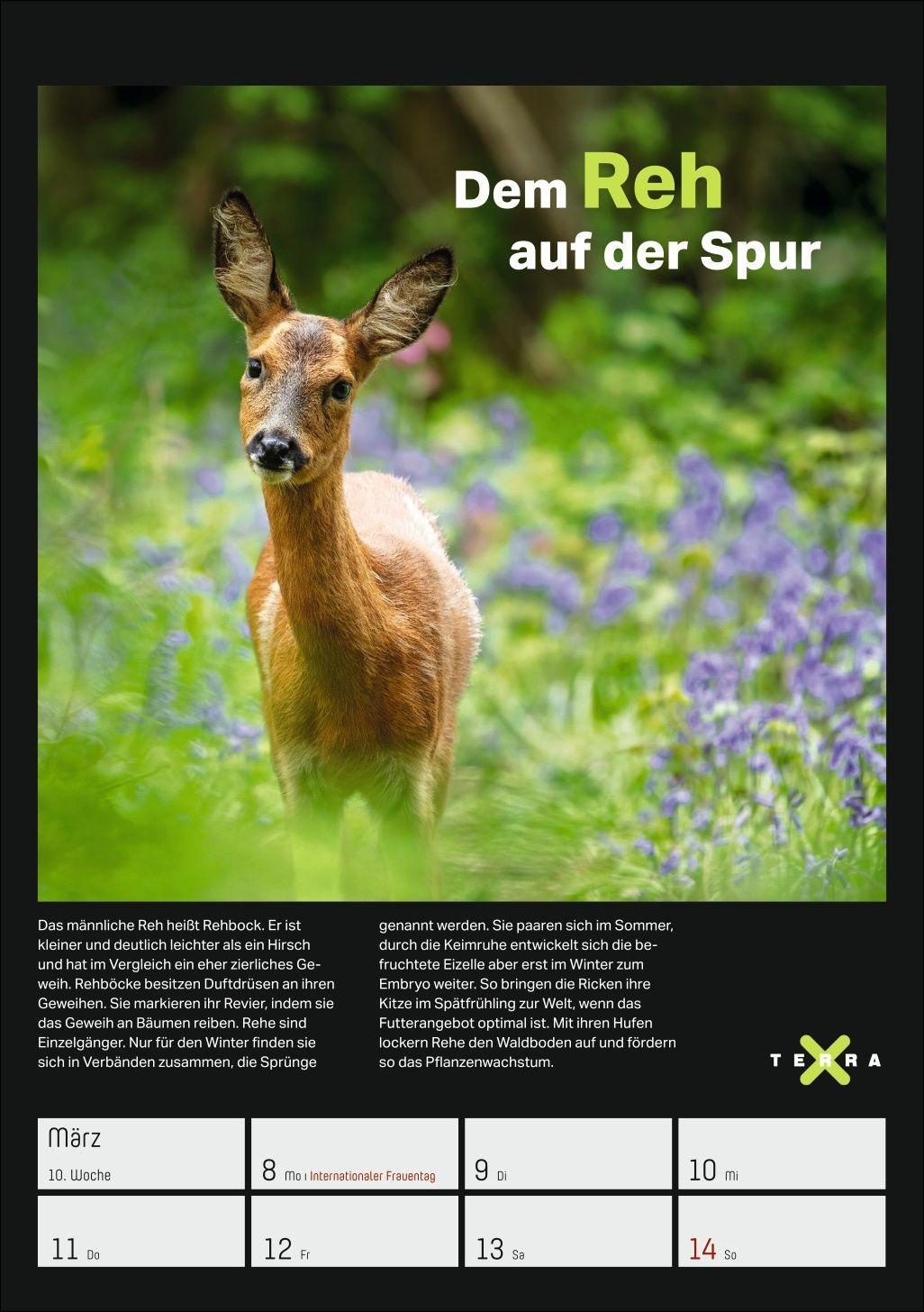 Beispielinhalt (Bild) Terra X - Das Wunder Erde Wochenplaner 2027