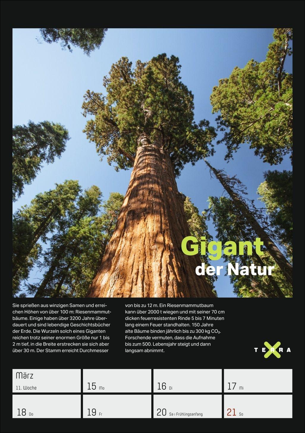 Beispielinhalt (Bild) Terra X - Das Wunder Erde Wochenplaner 2027