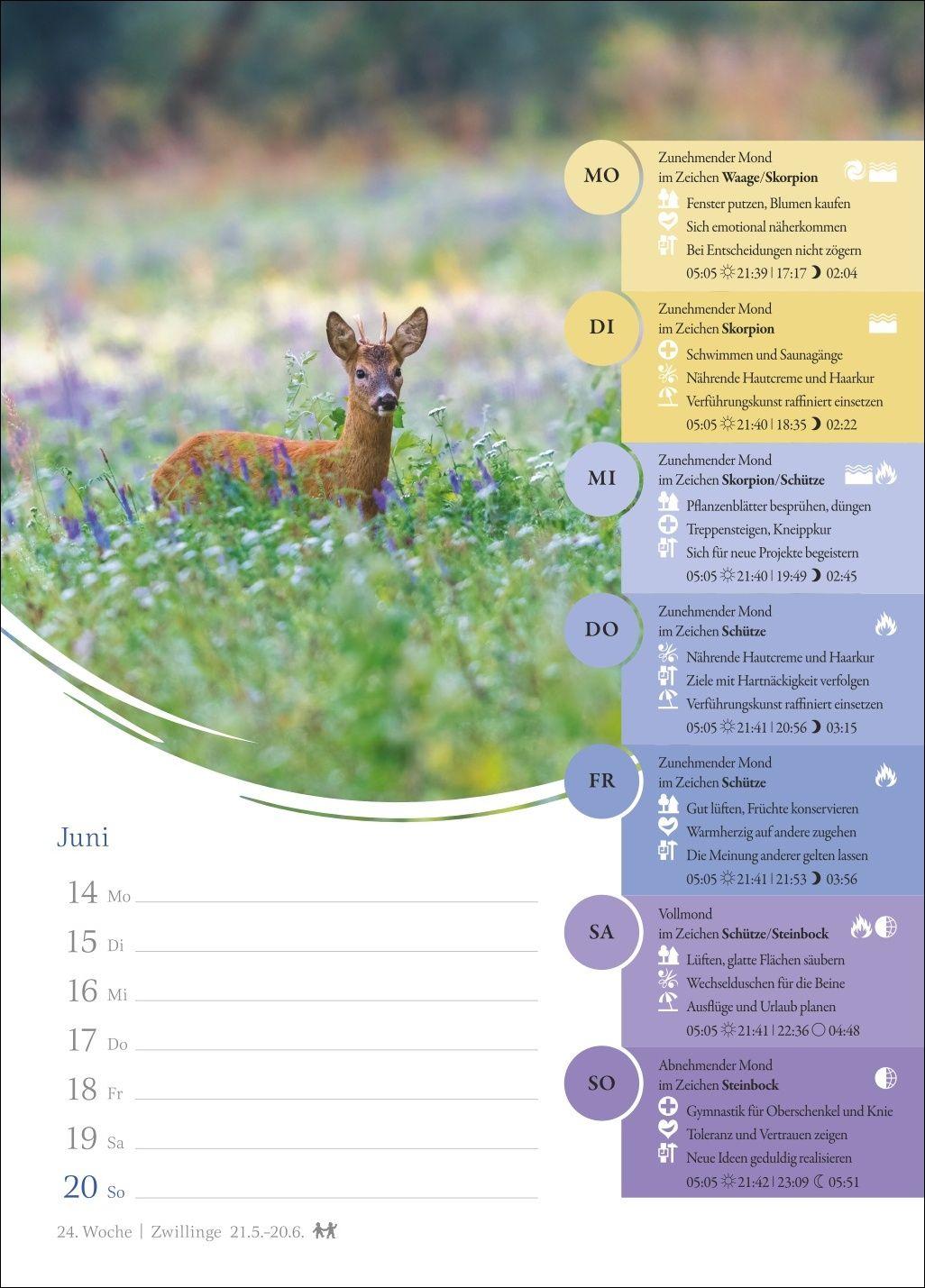 Beispielinhalt (Bild) Mondkalender Wochenkalender 2027 - 53 Wochenblätter mit praktischen Tipps für jeden Tag