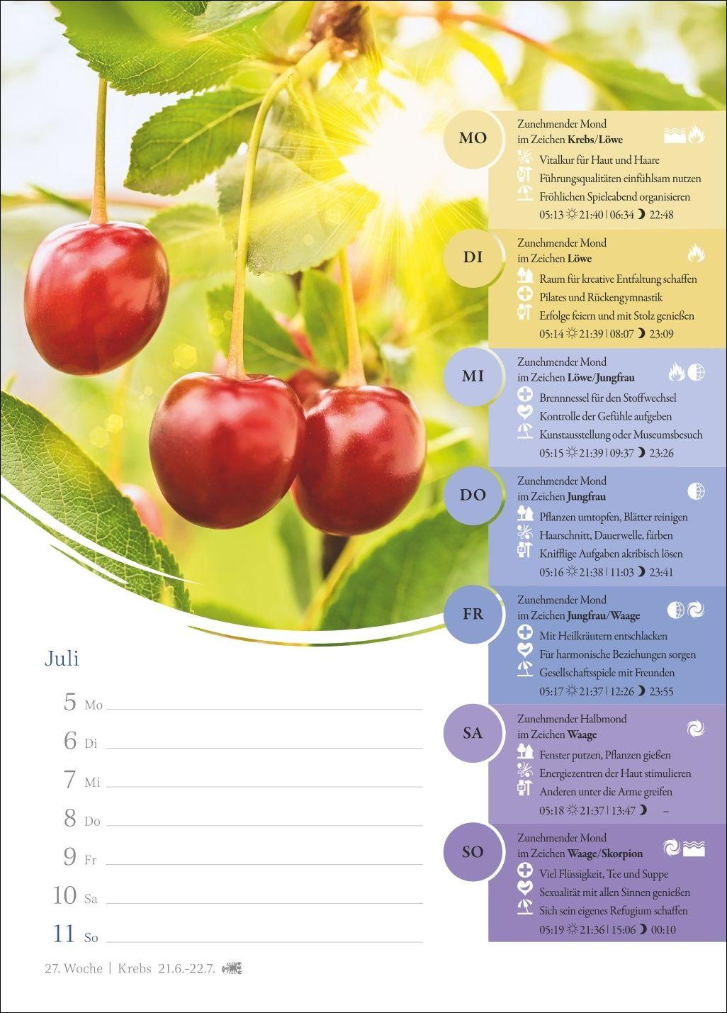 Beispielinhalt (Bild) Mondkalender Wochenkalender 2027 - 53 Wochenblätter mit praktischen Tipps für jeden Tag