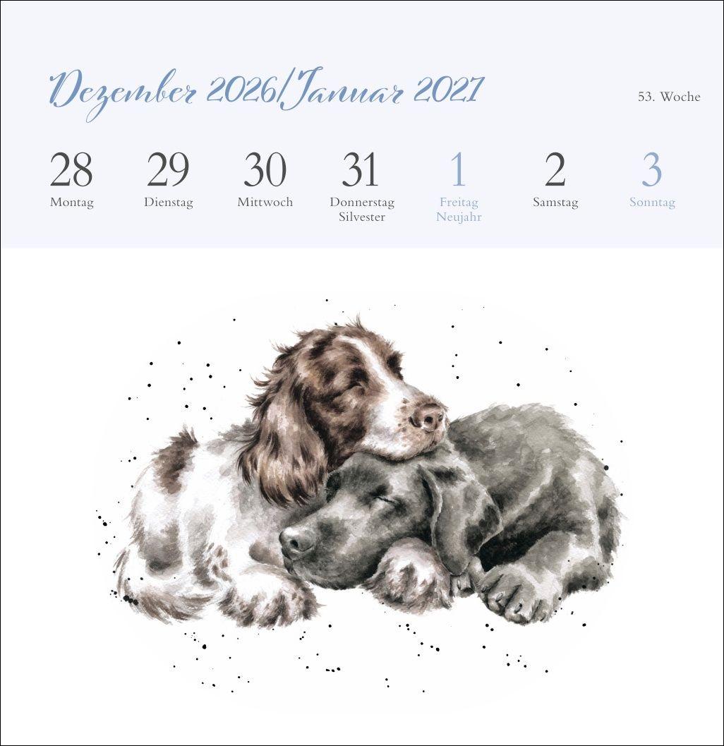 Beispielinhalt (Bild) Hannah Dale: Happy Animals Premium-Postkartenkalender 2027