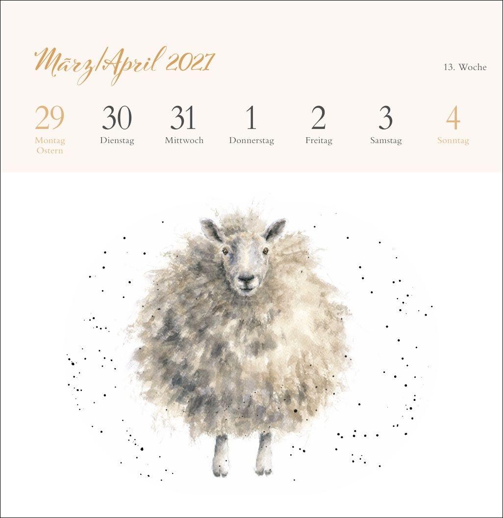 Beispielinhalt (Bild) Hannah Dale: Happy Animals Premium-Postkartenkalender 2027