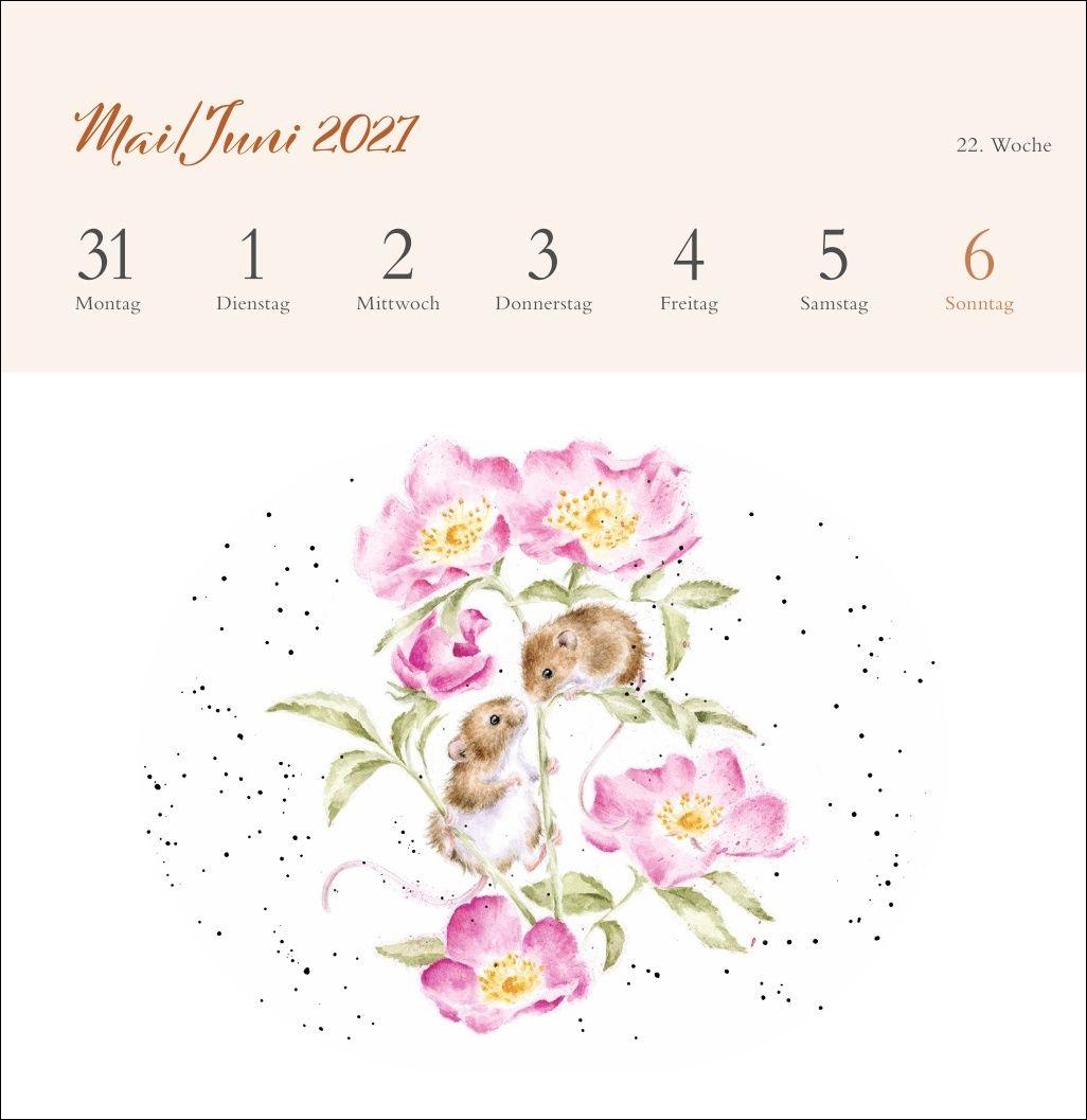 Beispielinhalt (Bild) Hannah Dale: Happy Animals Premium-Postkartenkalender 2027