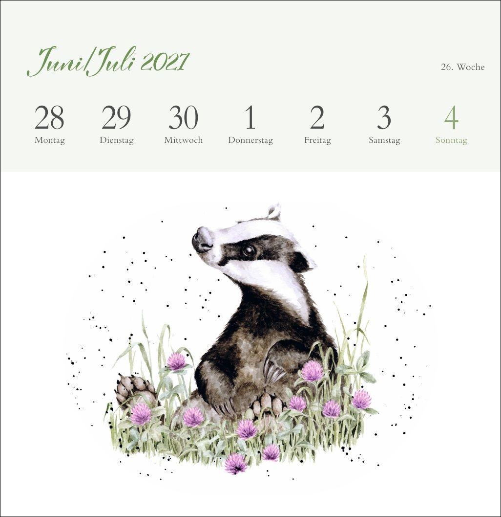 Beispielinhalt (Bild) Hannah Dale: Happy Animals Premium-Postkartenkalender 2027