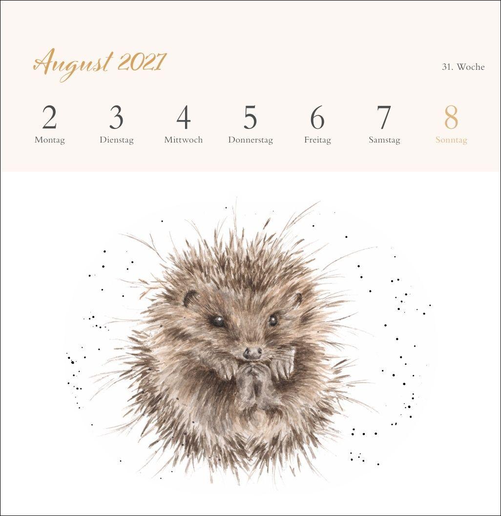 Beispielinhalt (Bild) Hannah Dale: Happy Animals Premium-Postkartenkalender 2027