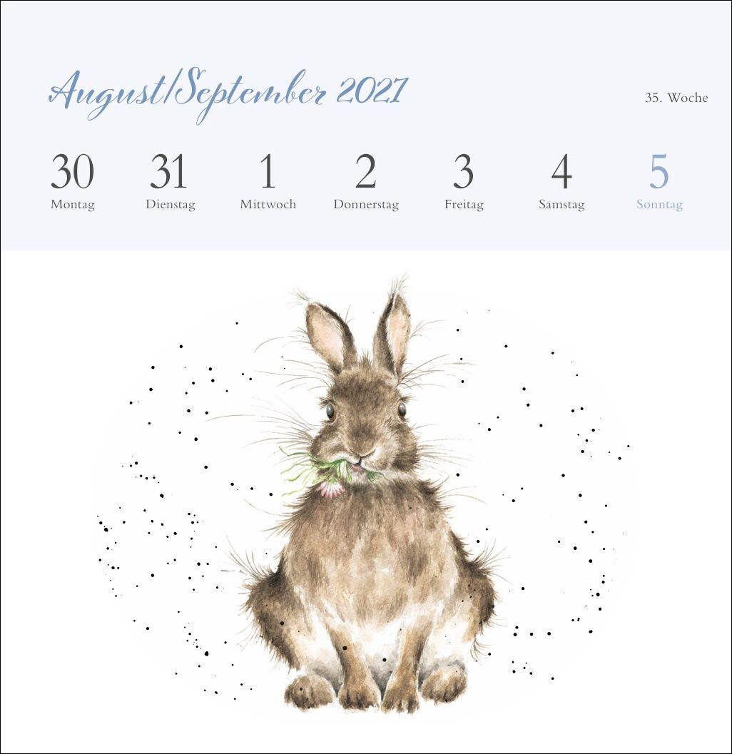 Beispielinhalt (Bild) Hannah Dale: Happy Animals Premium-Postkartenkalender 2027