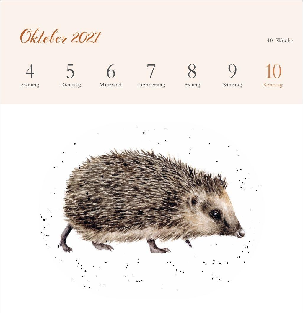 Beispielinhalt (Bild) Hannah Dale: Happy Animals Premium-Postkartenkalender 2027