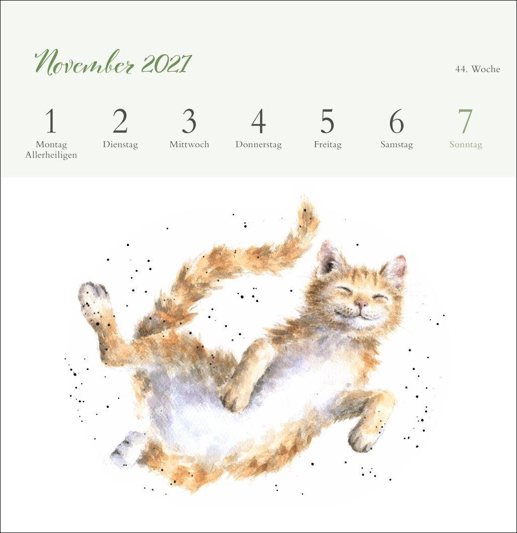 Beispielinhalt (Bild) Hannah Dale: Happy Animals Premium-Postkartenkalender 2027