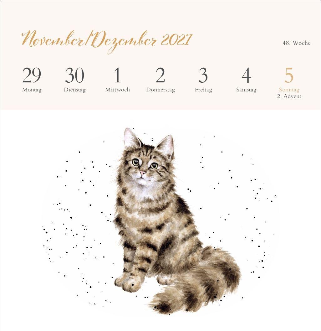 Beispielinhalt (Bild) Hannah Dale: Happy Animals Premium-Postkartenkalender 2027