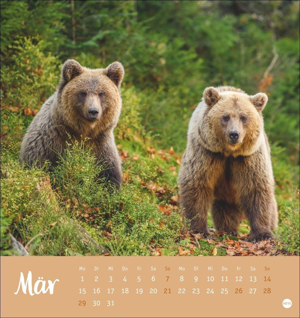 Beispielinhalt (Bild) Bärenstark Postkartenkalender 2027