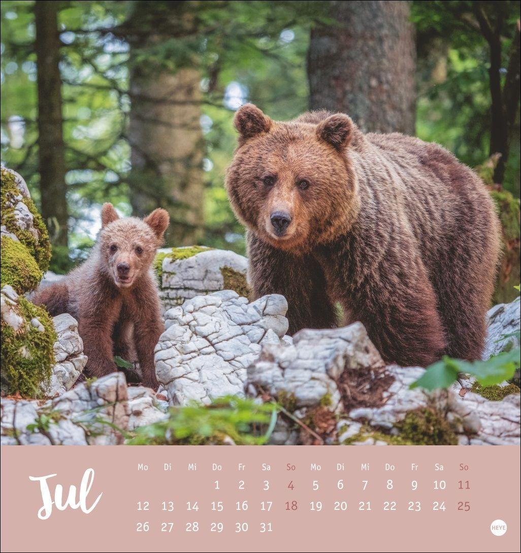 Beispielinhalt (Bild) Bärenstark Postkartenkalender 2027