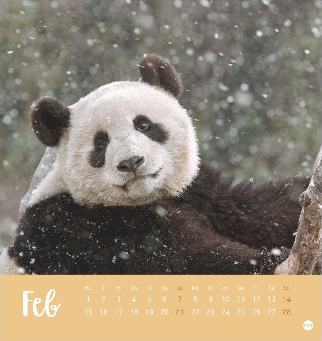 Beispielinhalt (Bild) Bärenstark Postkartenkalender 2027