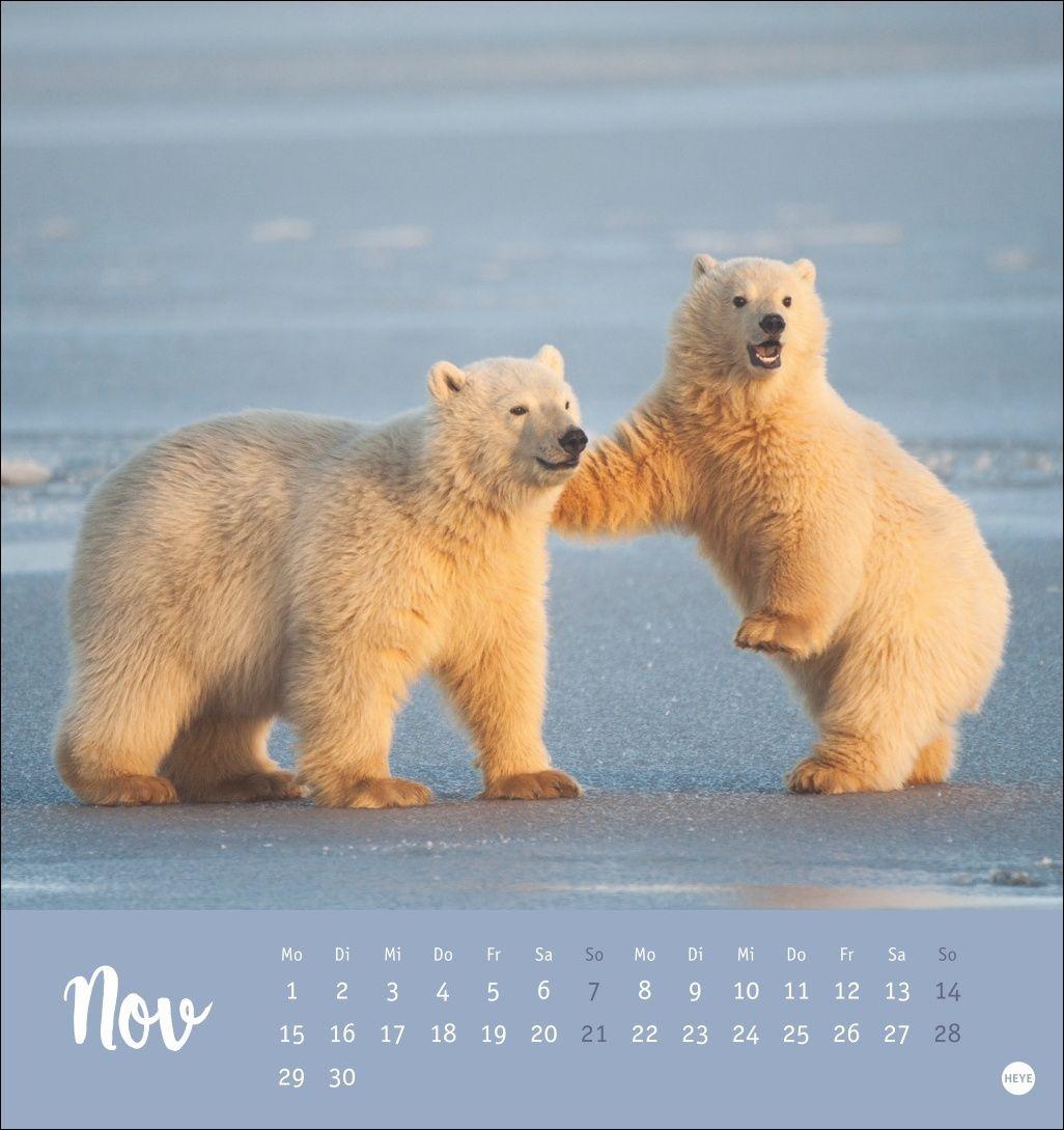 Beispielinhalt (Bild) Bärenstark Postkartenkalender 2027