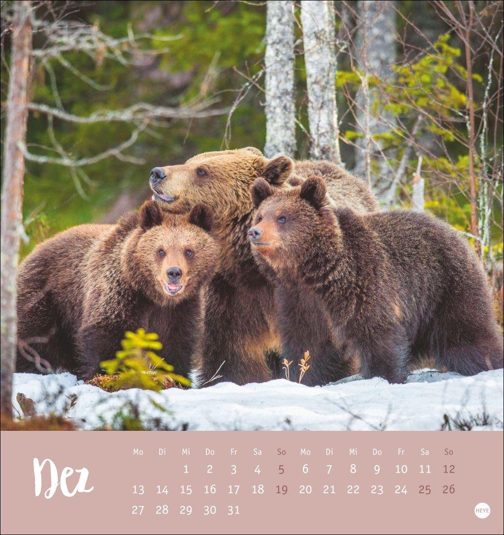 Beispielinhalt (Bild) Bärenstark Postkartenkalender 2027