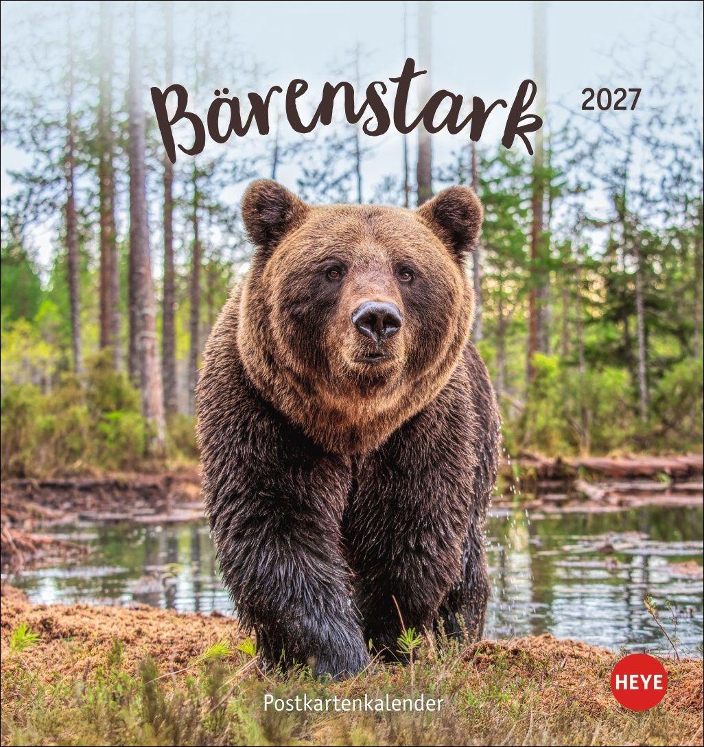 Vorderes Coverbild Bärenstark Postkartenkalender 2027