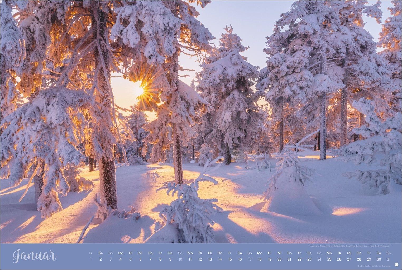 Beispielinhalt (Bild) Zauberwälder Edition Kalender 2027
