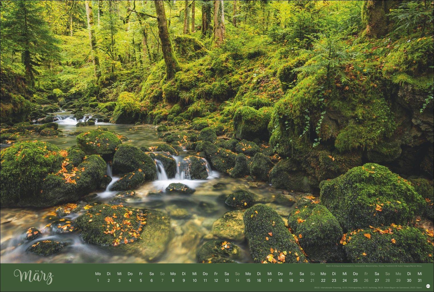 Beispielinhalt (Bild) Zauberwälder Edition Kalender 2027