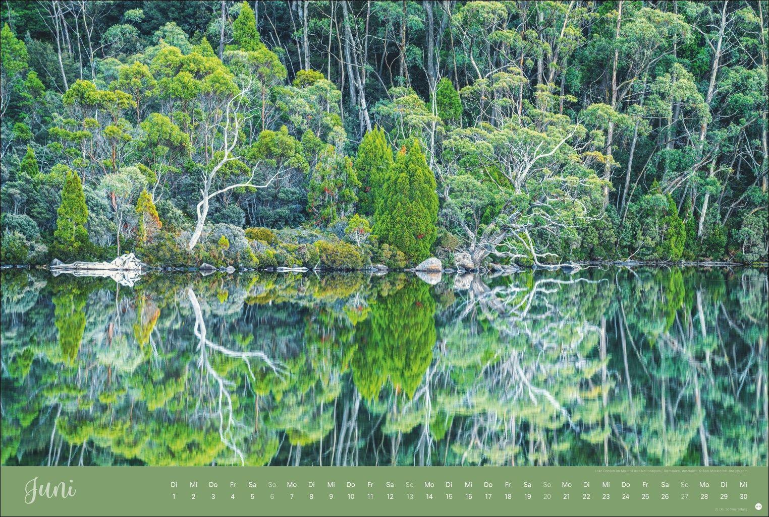 Beispielinhalt (Bild) Zauberwälder Edition Kalender 2027