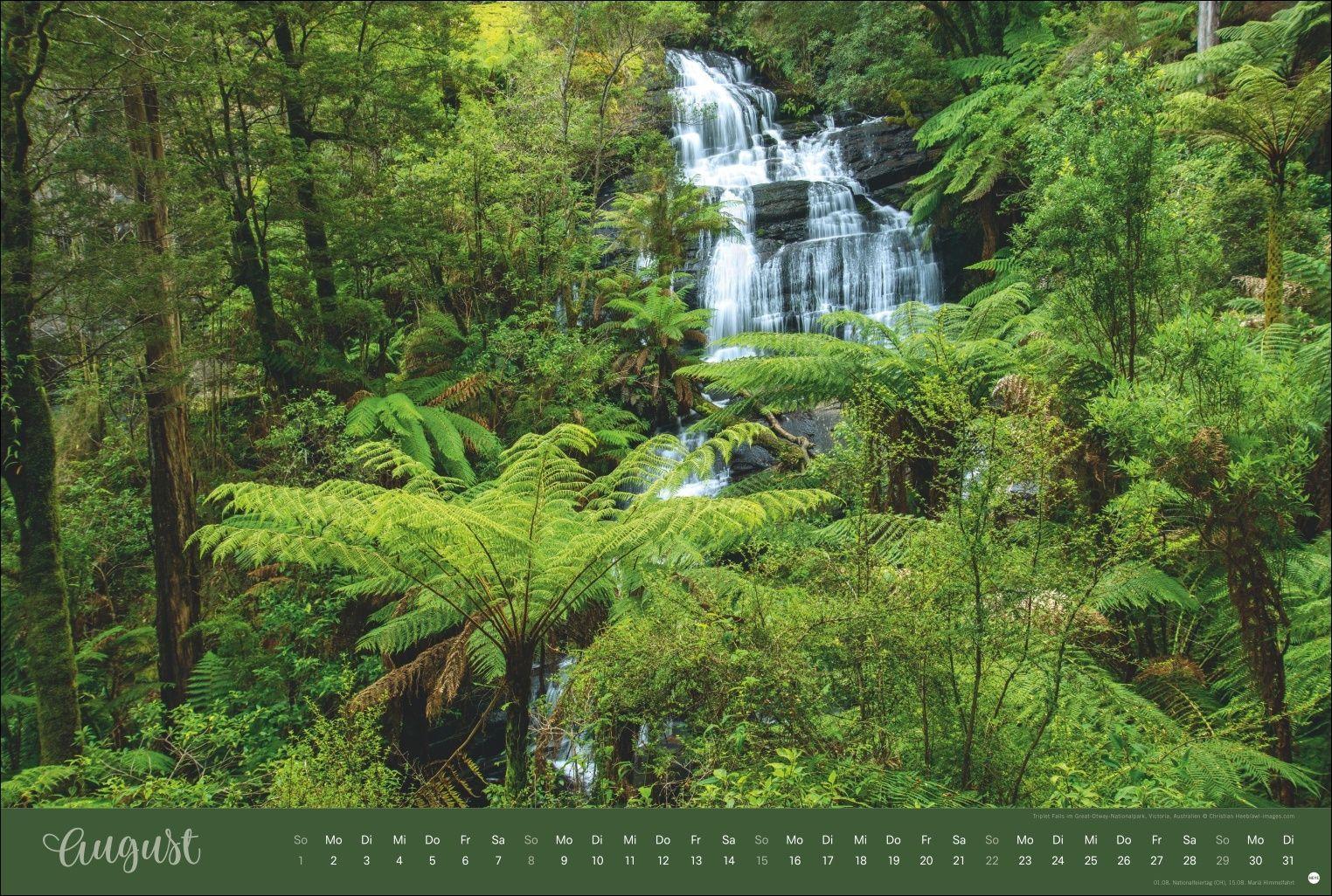 Beispielinhalt (Bild) Zauberwälder Edition Kalender 2027