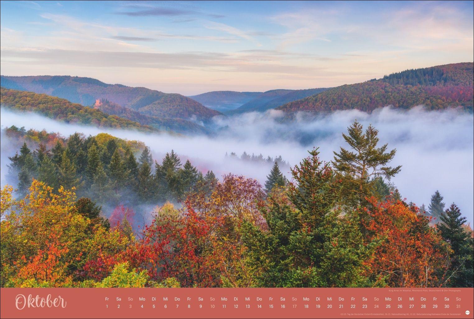 Beispielinhalt (Bild) Zauberwälder Edition Kalender 2027