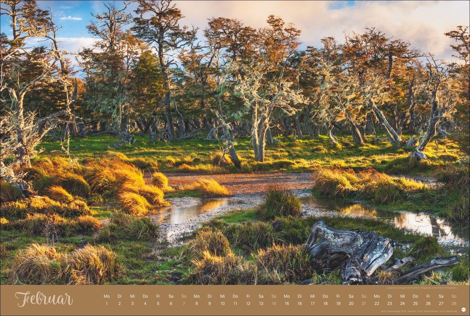 Beispielinhalt (Bild) Zauberwälder Edition Kalender 2027