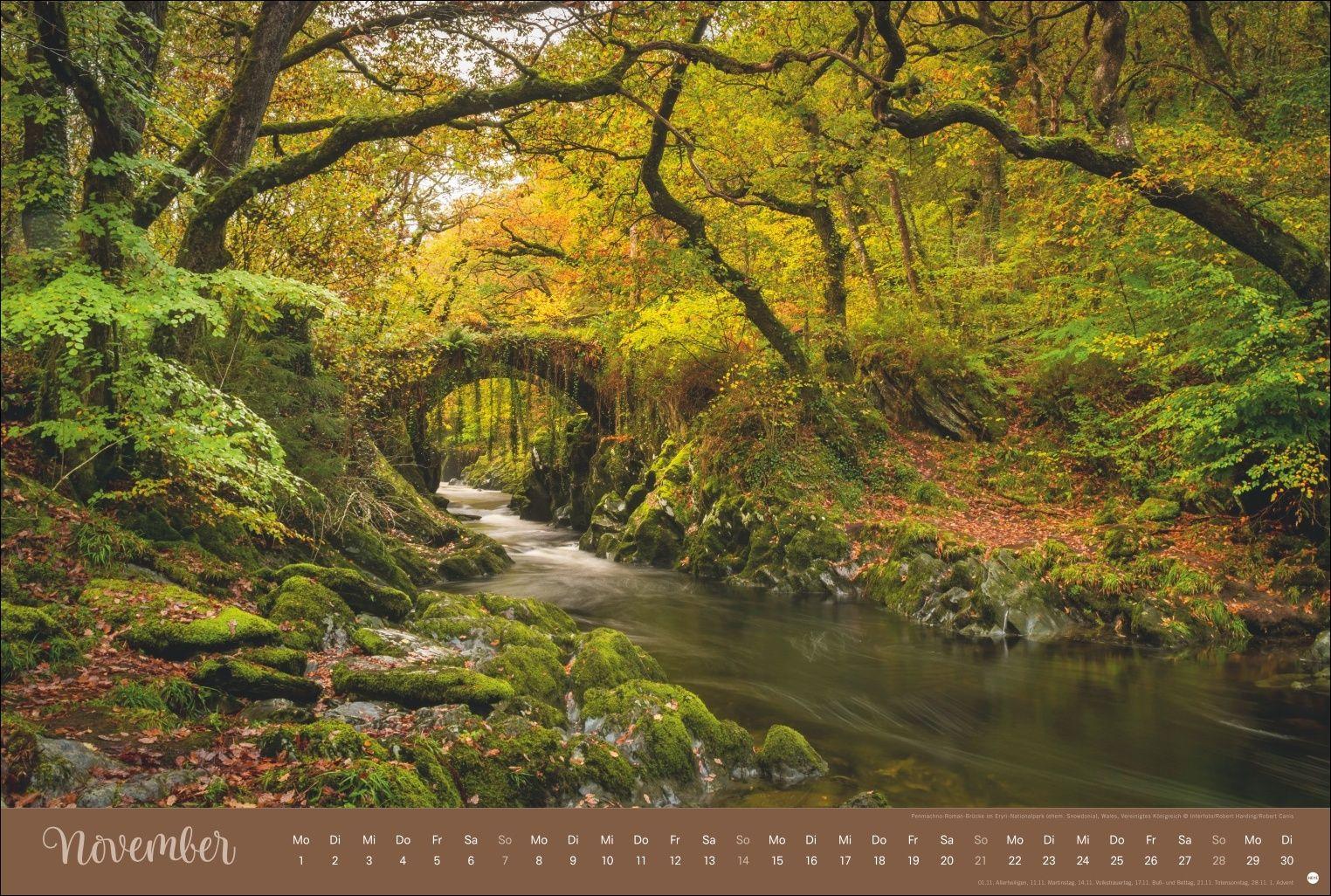 Beispielinhalt (Bild) Zauberwälder Edition Kalender 2027