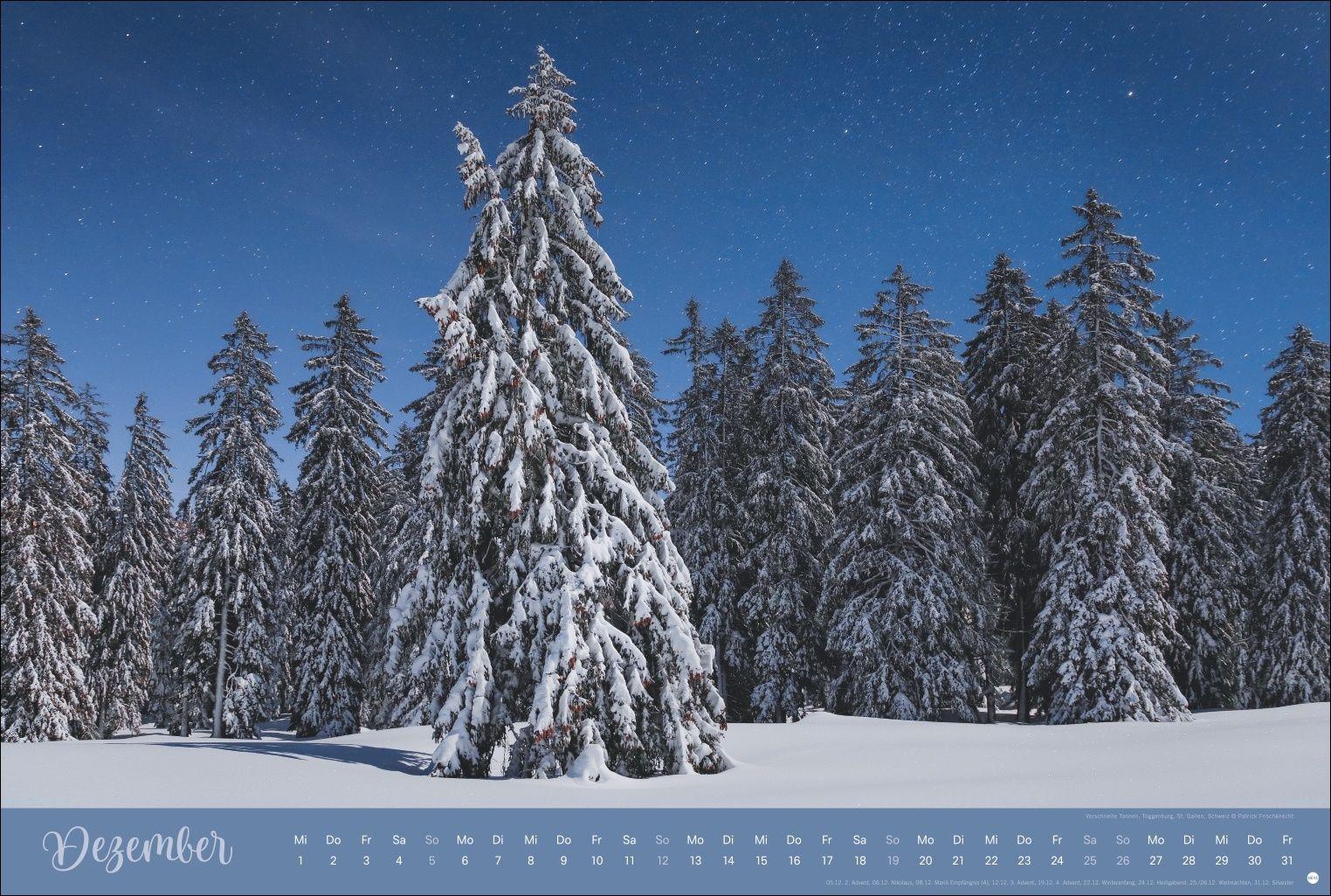 Beispielinhalt (Bild) Zauberwälder Edition Kalender 2027