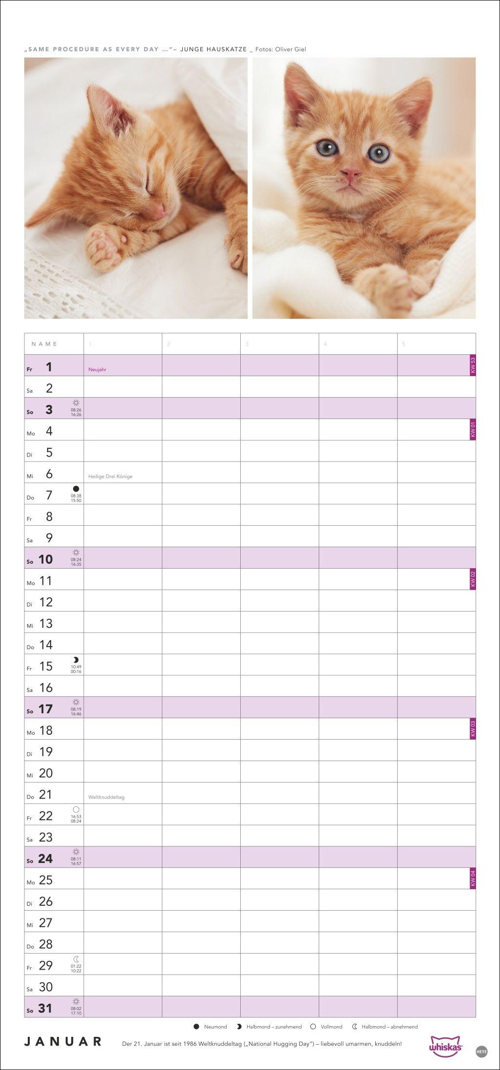 Beispielinhalt (Bild) Whiskas Familienplaner 2027