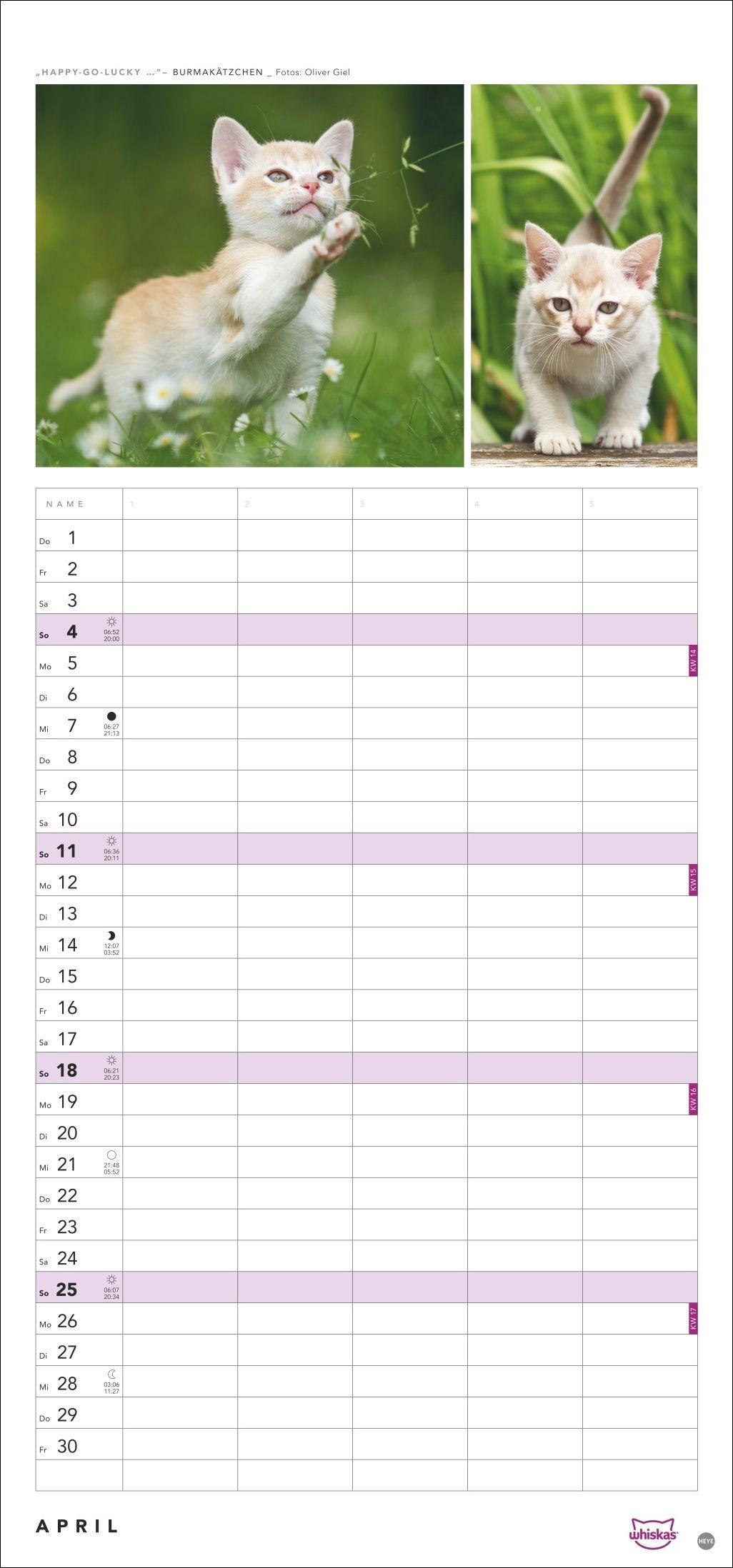 Beispielinhalt (Bild) Whiskas Familienplaner 2027
