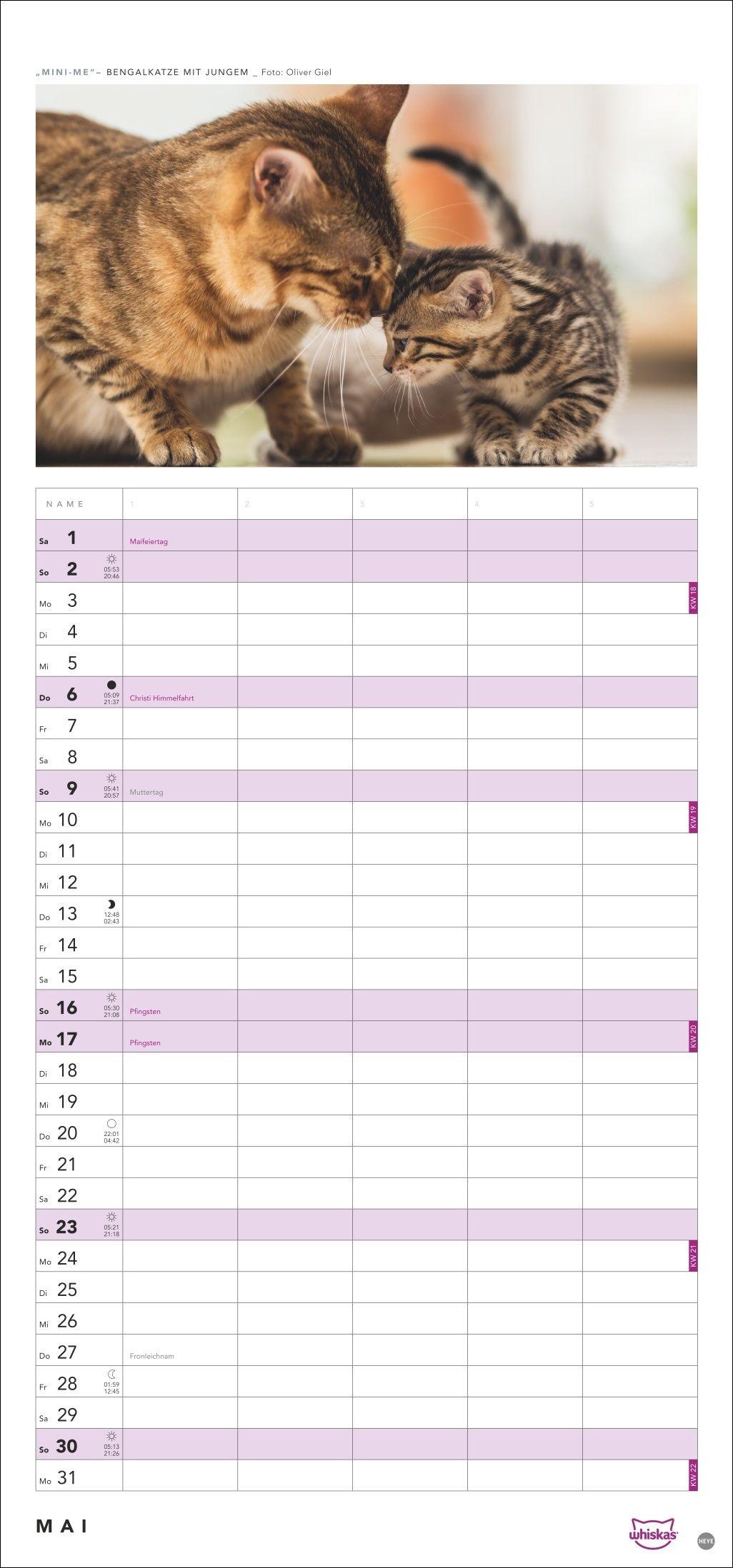 Beispielinhalt (Bild) Whiskas Familienplaner 2027