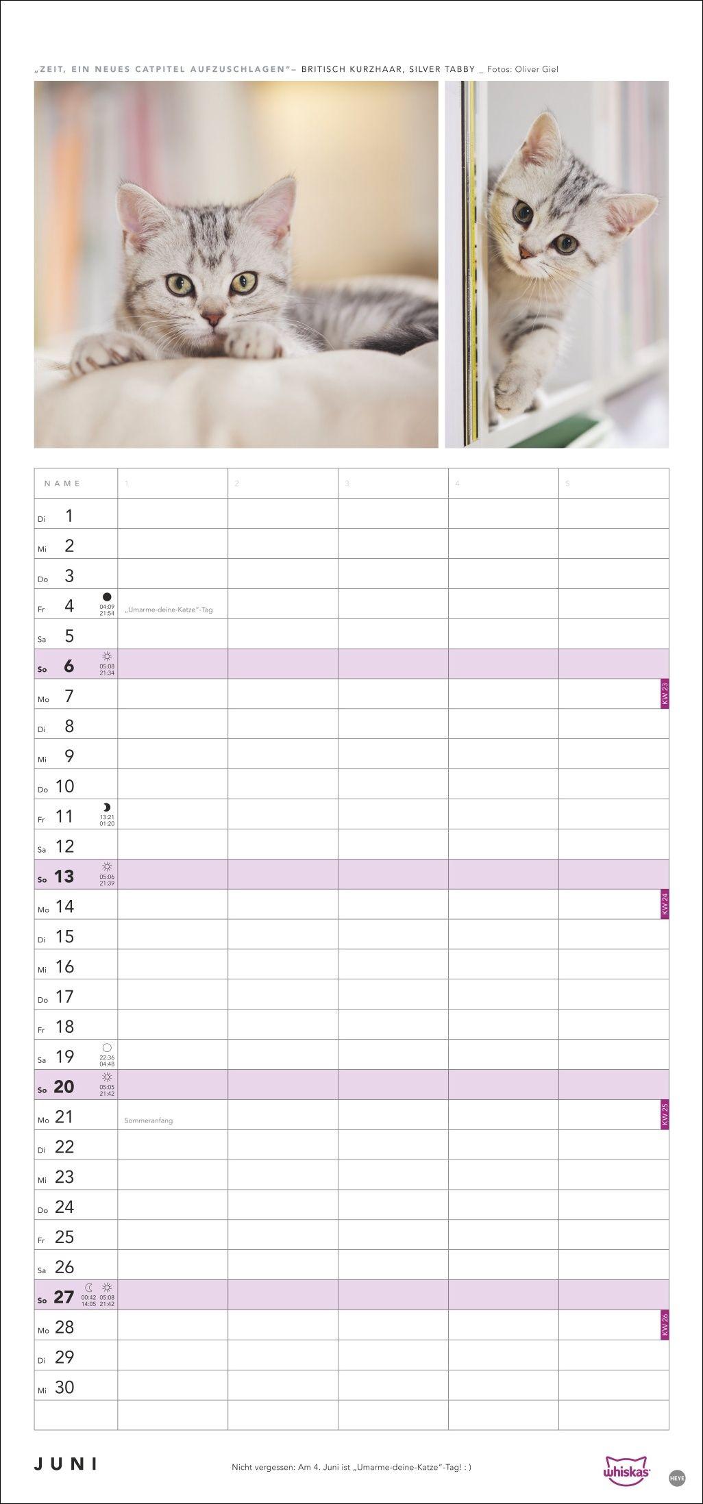 Beispielinhalt (Bild) Whiskas Familienplaner 2027