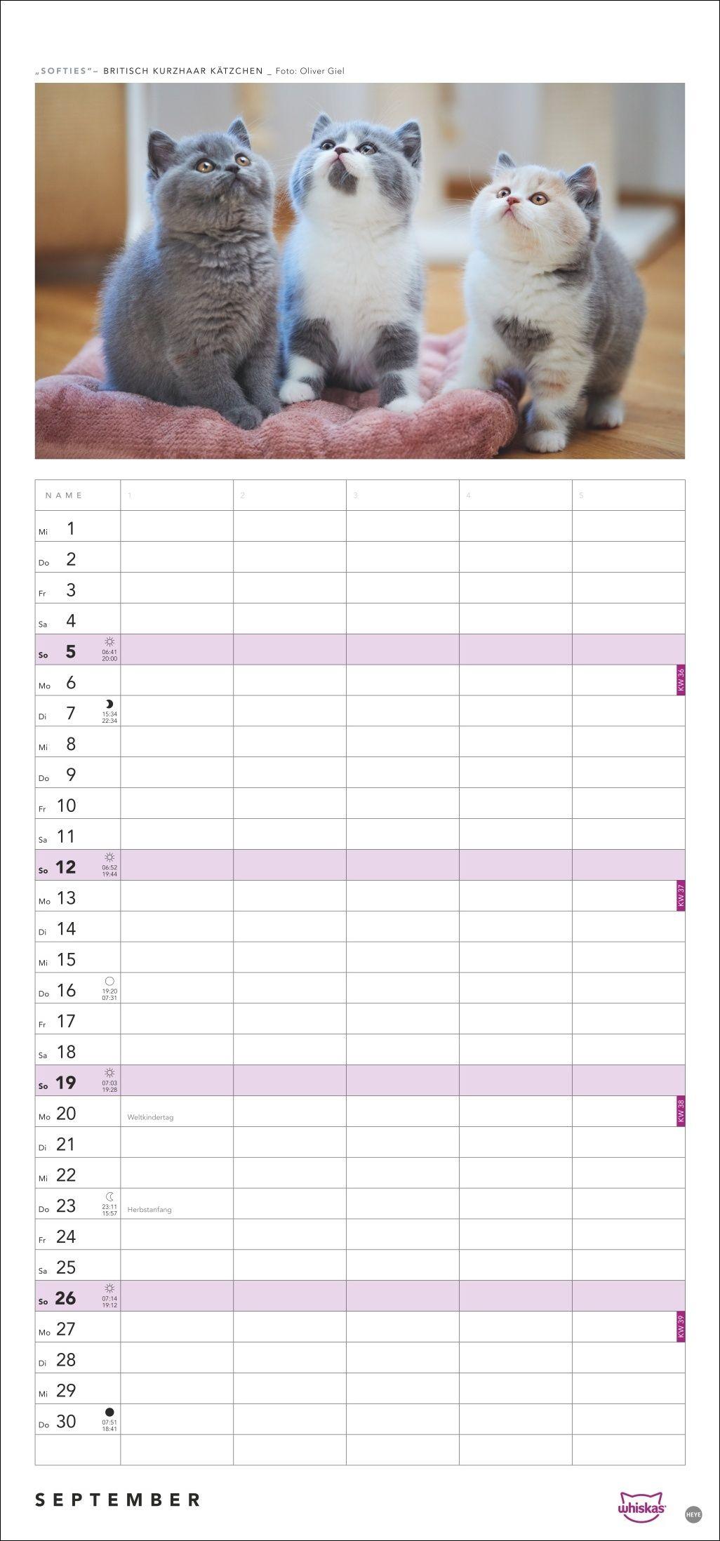 Beispielinhalt (Bild) Whiskas Familienplaner 2027