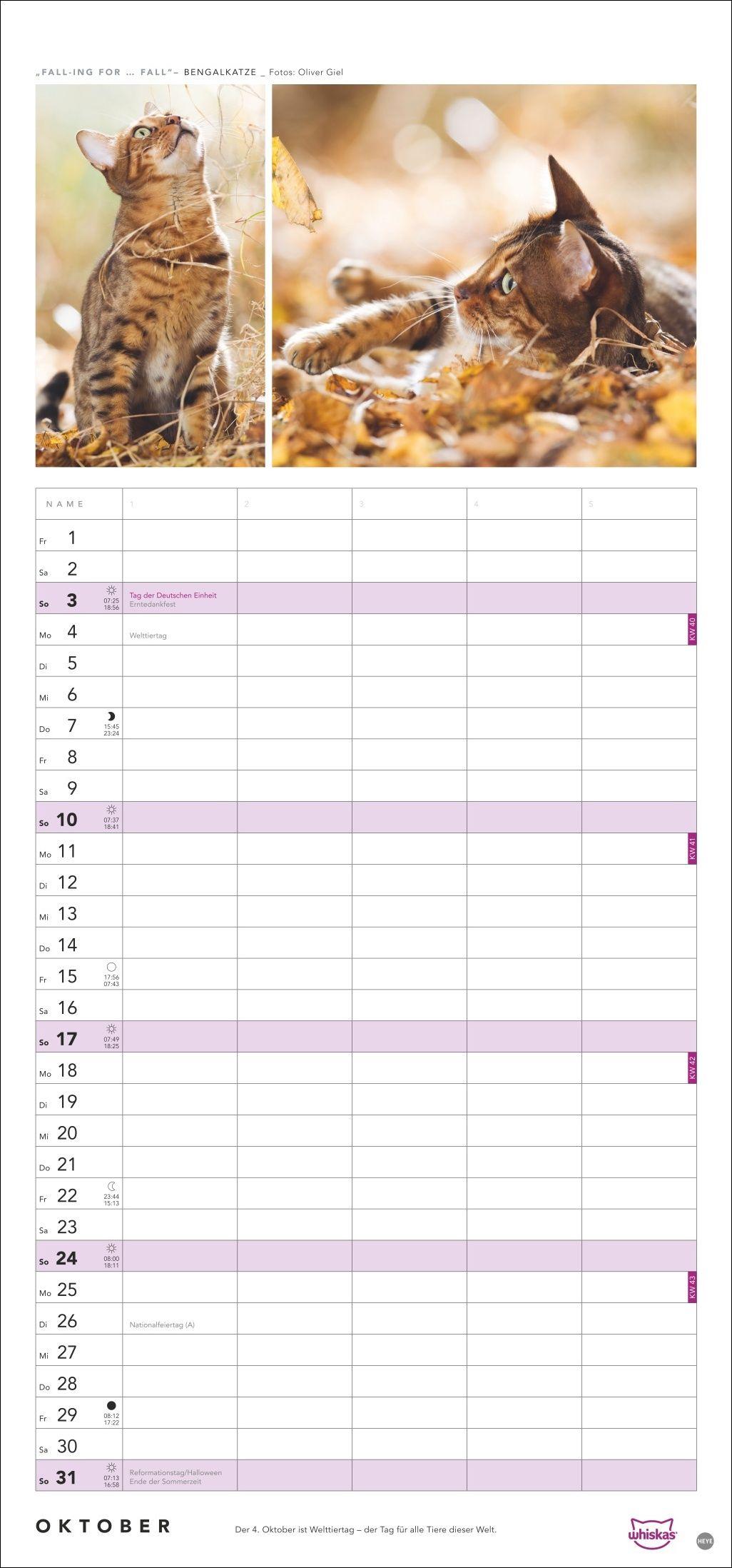 Beispielinhalt (Bild) Whiskas Familienplaner 2027