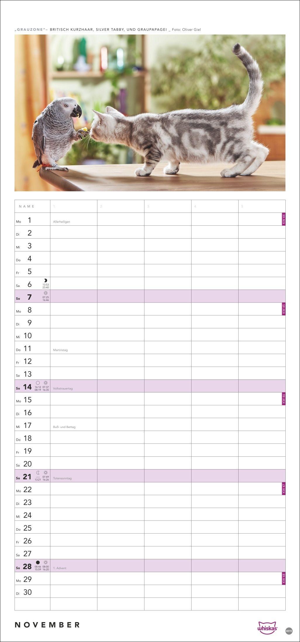 Beispielinhalt (Bild) Whiskas Familienplaner 2027