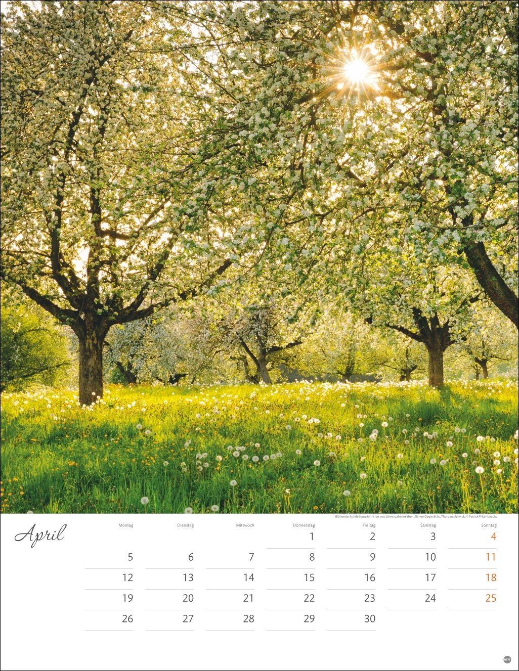 Beispielinhalt (Bild) Jenseits der Hast Posterkalender 2027