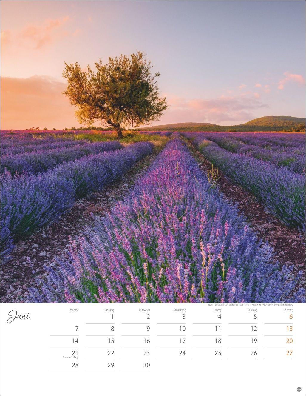 Beispielinhalt (Bild) Jenseits der Hast Posterkalender 2027