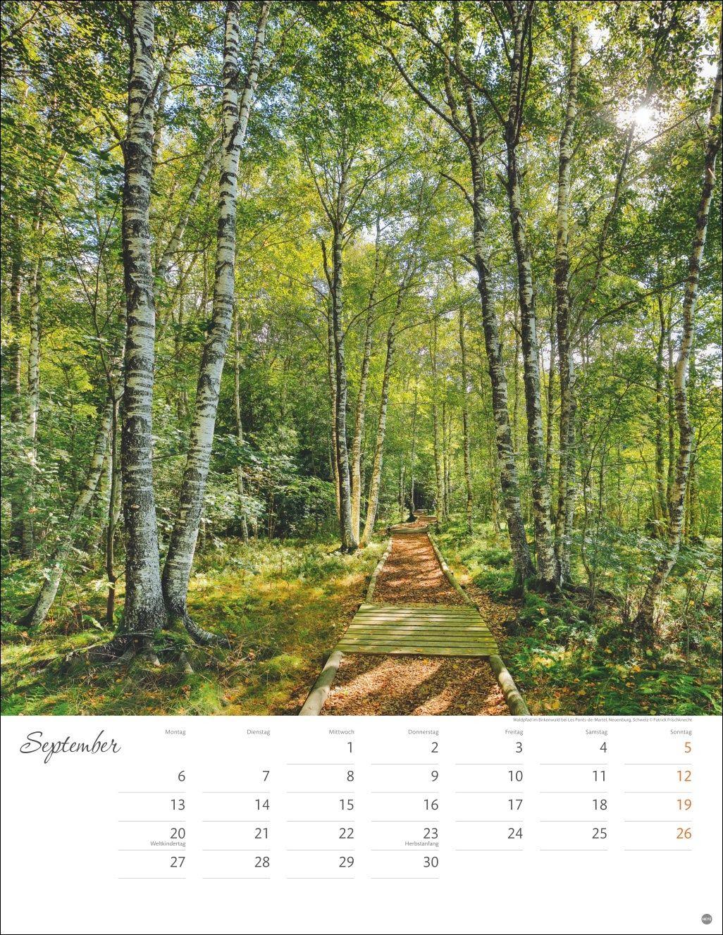 Beispielinhalt (Bild) Jenseits der Hast Posterkalender 2027