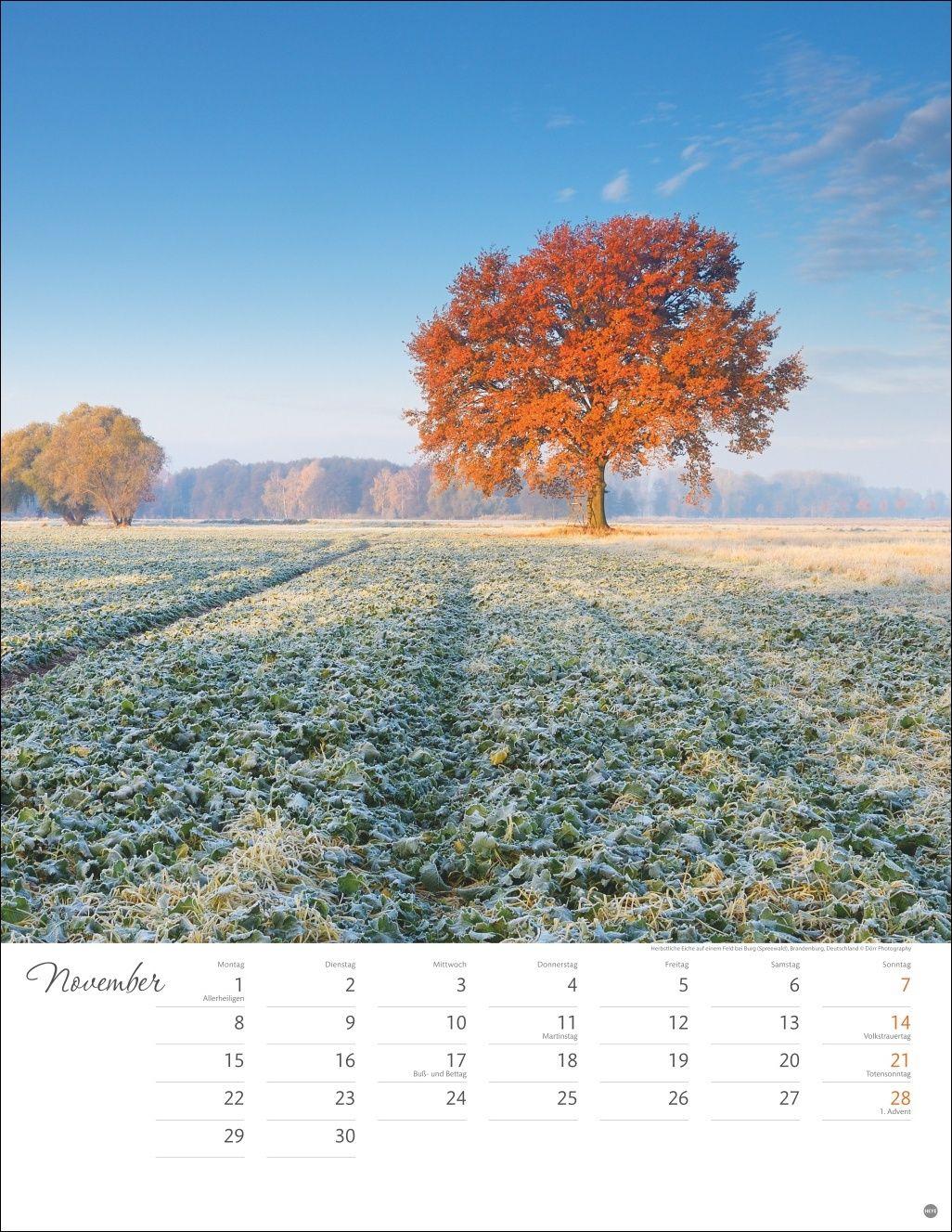 Beispielinhalt (Bild) Jenseits der Hast Posterkalender 2027