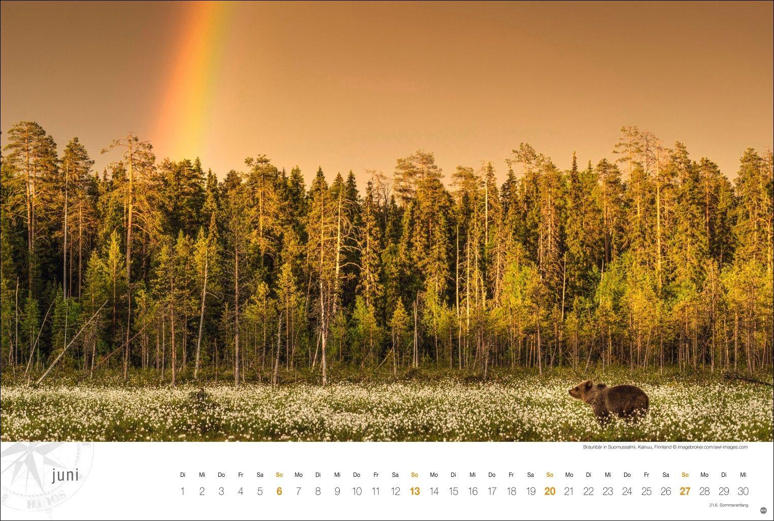 Beispielinhalt (Bild) Skandinavien Globetrotter Kalender 2027 - Von stillen Wäldern, Seen und Fjorden